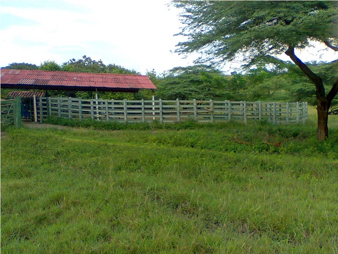 corral establos decorativos finca cercado establo decorar finca decoración corrales establos planos diseños bonitos pesebreras corrales establos ganaderías estabuladas estabulados ceba 005 corral establos decorativos finca cercado establo decorar finca decoración corrales establos planos diseños bonitos pesebreras corrales corral establos decorativos finca cercado establo decorar finca decoración corrales establos planos diseños bonitos pesebreras corrales establos ganaderías estabuladas estabulados ceba 005 establos ganaderías estabuladas estabulados ceba 005